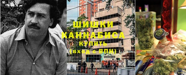 гидра Белокуриха