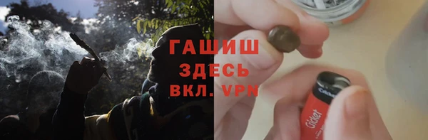 гидра Белокуриха