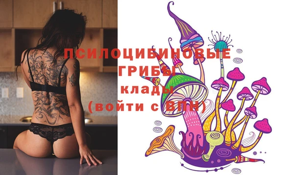 гидра Белокуриха